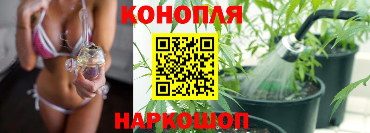 Каннабис гибрид Советская Гавань